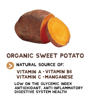 sweet potato3